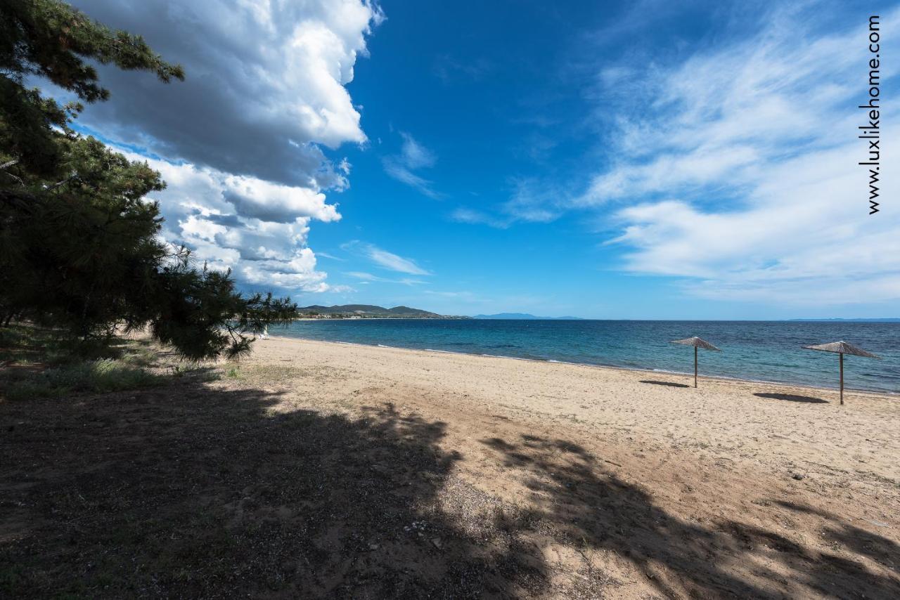 #Luxlikehome - Mediterranee Beachfront Summer House Kalyves Polygyrou Esterno foto